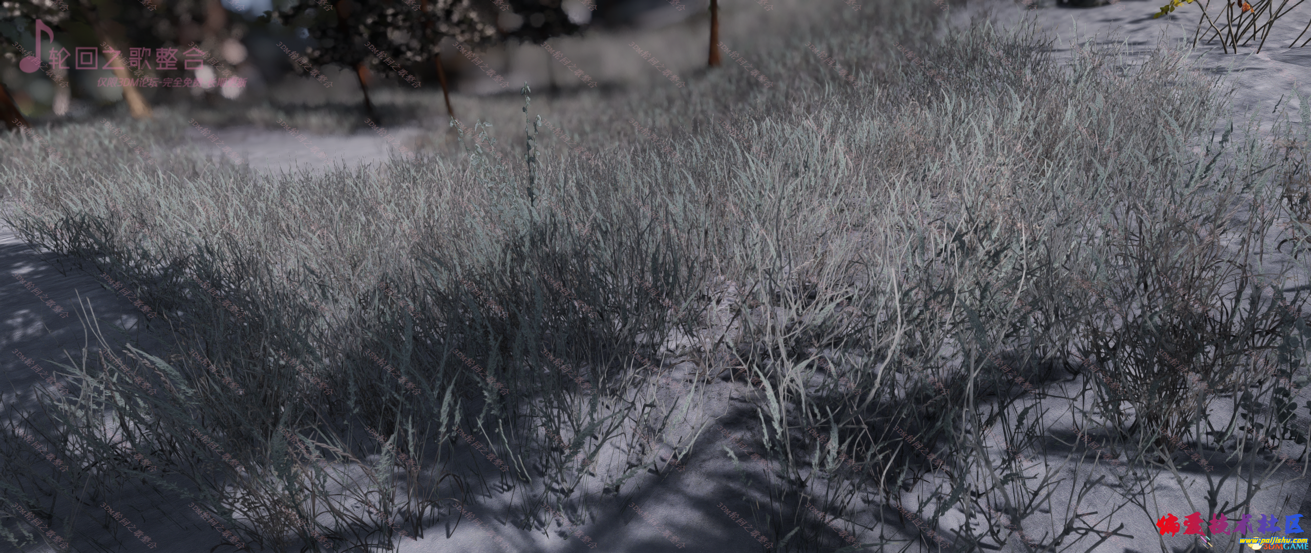 preview (1).png