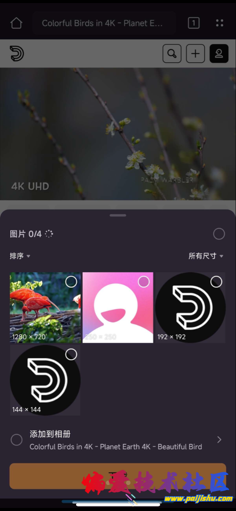 IMG_9843.png