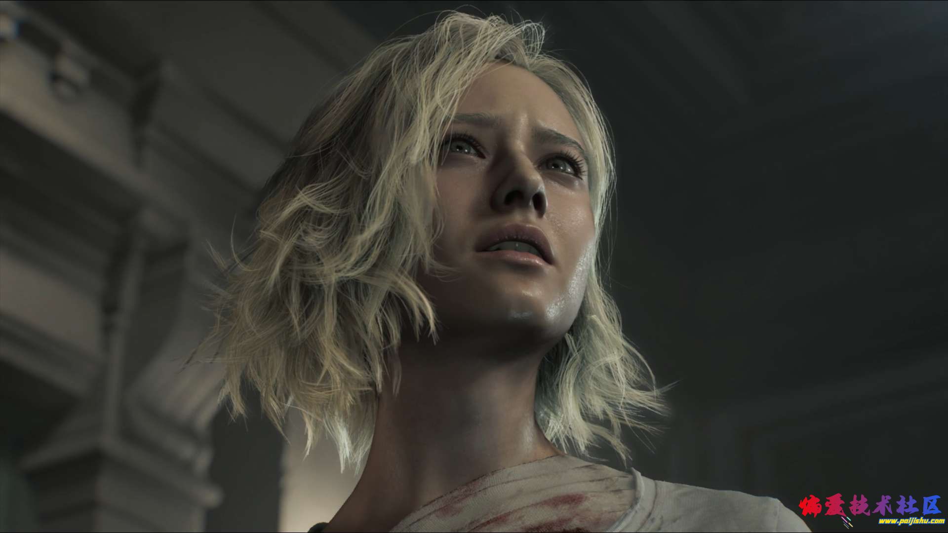 31252.jpg