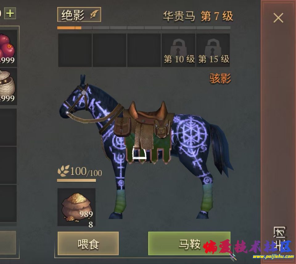 1000051380.jpg