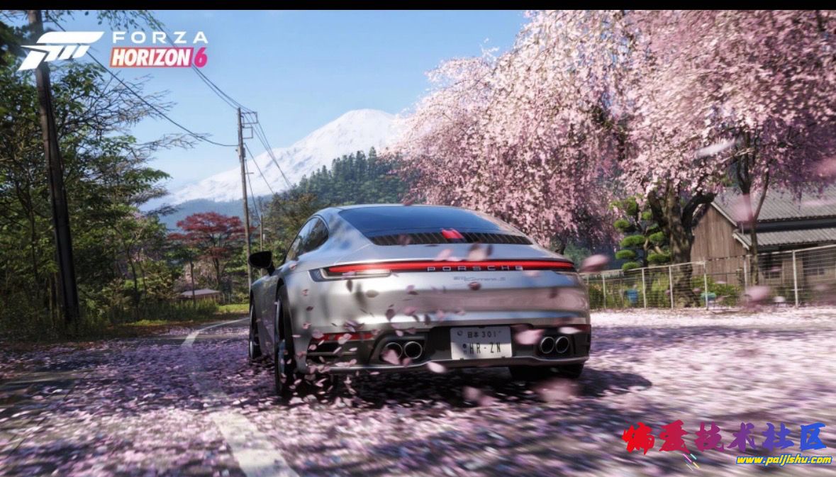 IMG_5137.jpeg